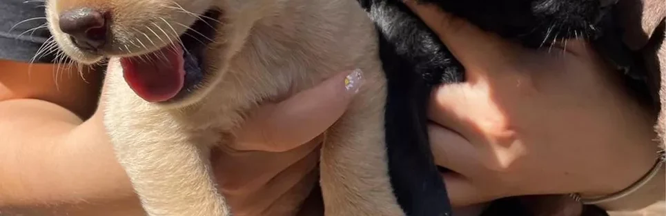 Fregadero en acero inoxidable en República Dominicana