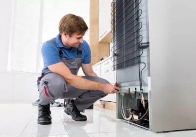Técnico De Refrigeración