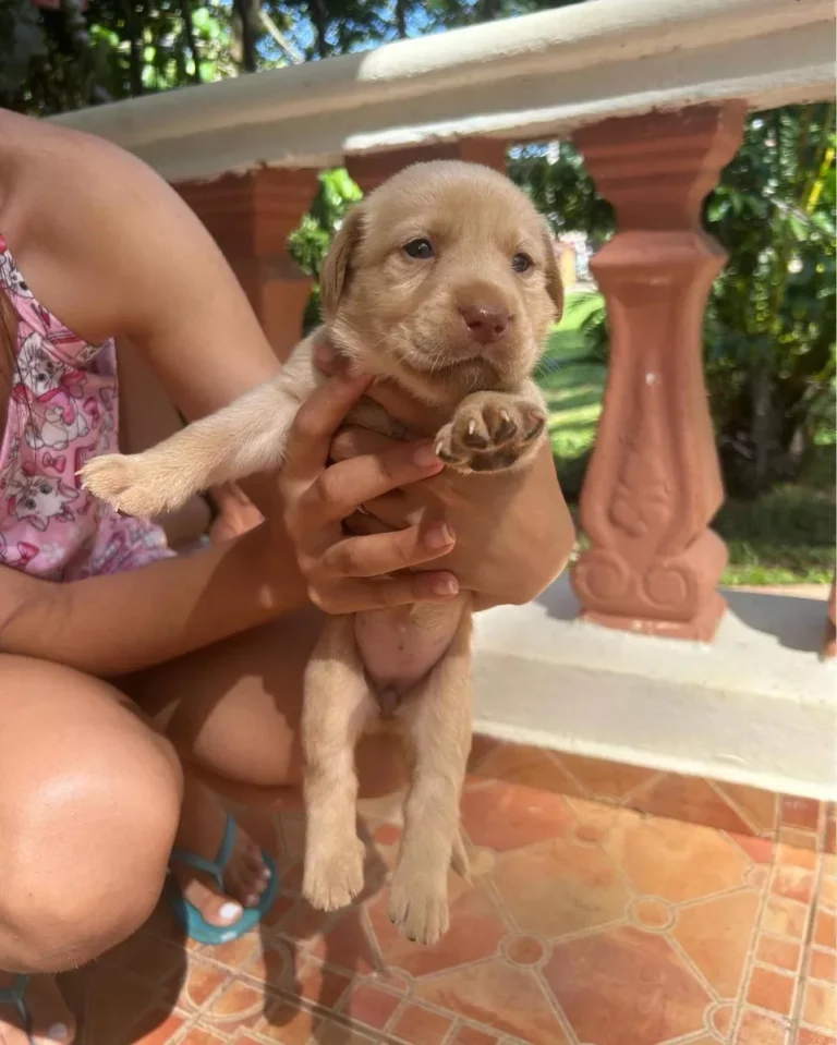 Fregadero en acero inoxidable en República Dominicana