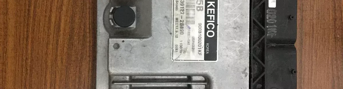 Reparación De Computadoras Kia Y Hyundai N20, Lotze, Avante en República Dominicana