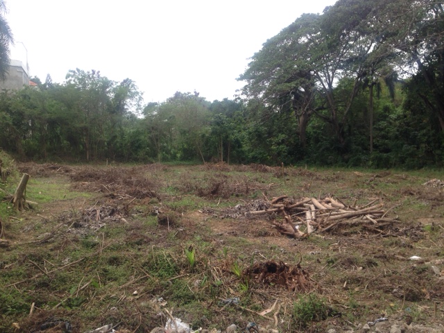 Apartamento en alquiler nuevo a estrenar de 2 Habitaciones en Evaristo morales en República Dominicana