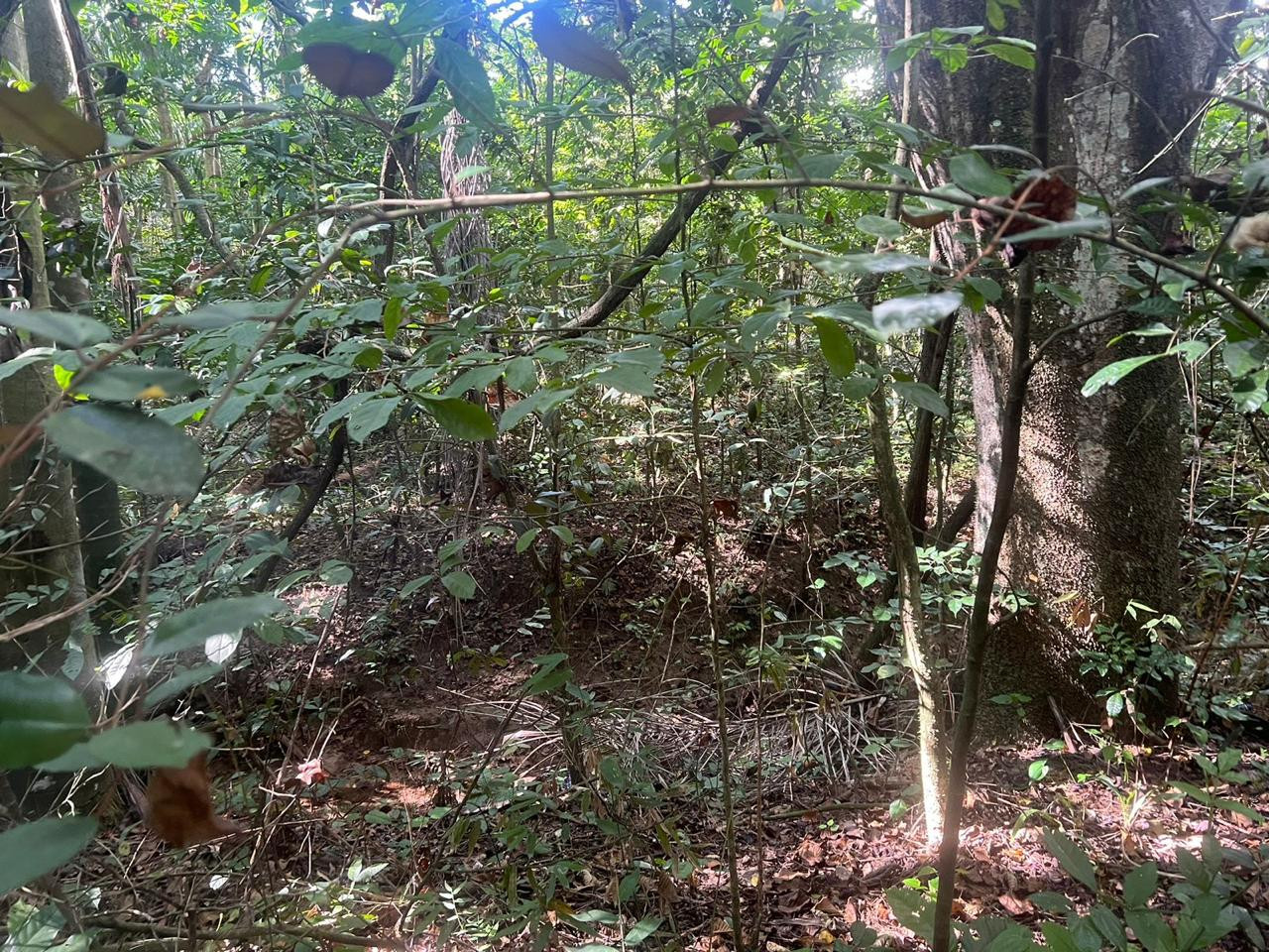 Terreno en Venta de 27,000 MTS2 Circunvalación Sto Dgo en República Dominicana