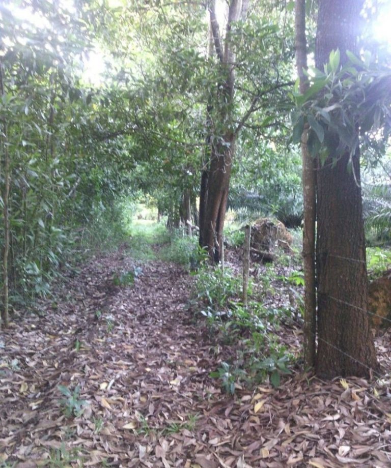 Mi Propiedad En El Caribbean! en República Dominicana