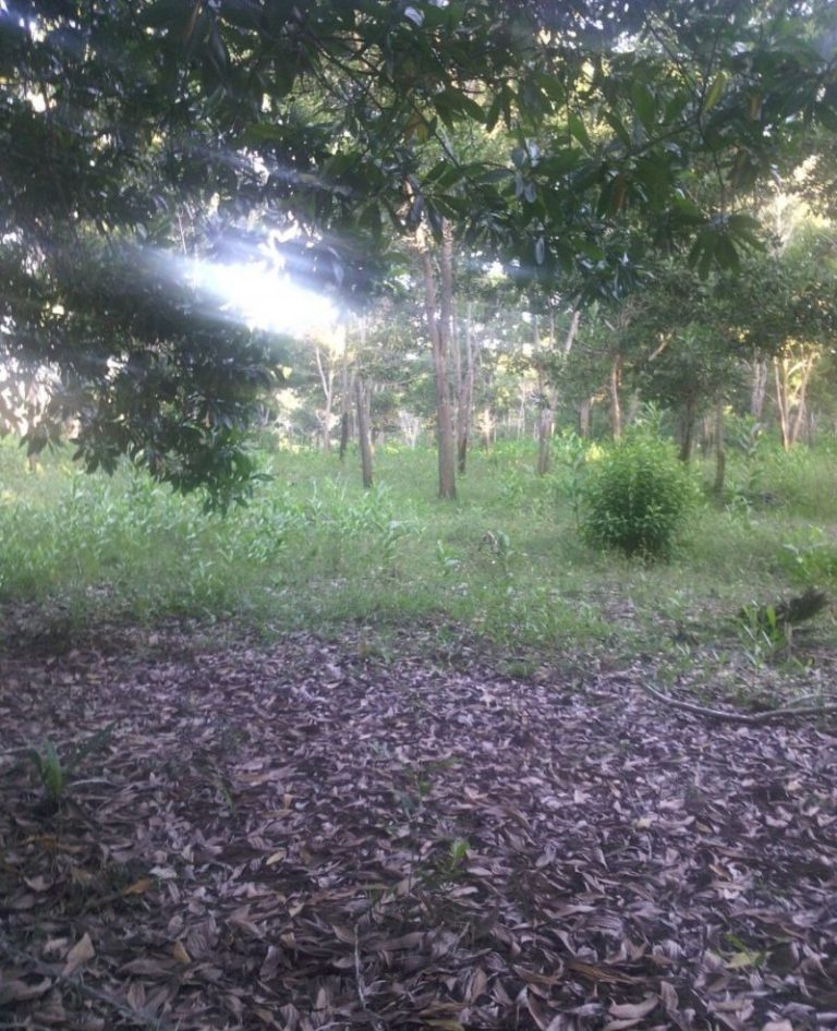 Mi Propiedad En El Caribbean! en República Dominicana