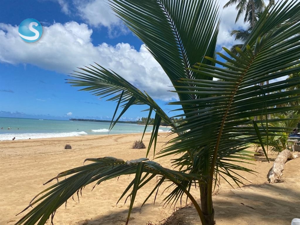 Solar en Venta en Las Terrenas, Excelente Oportunidad en República Dominicana
