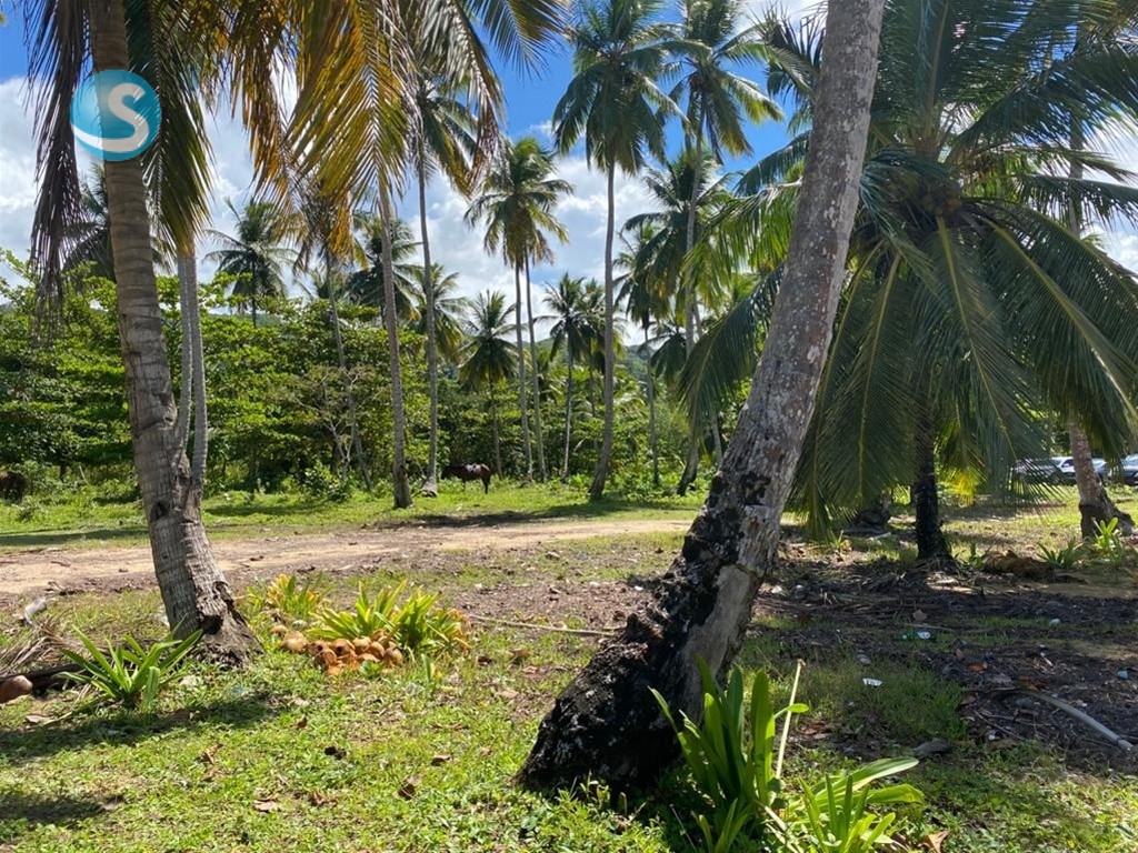 Solar en Venta en Las Terrenas, Excelente Oportunidad en República Dominicana