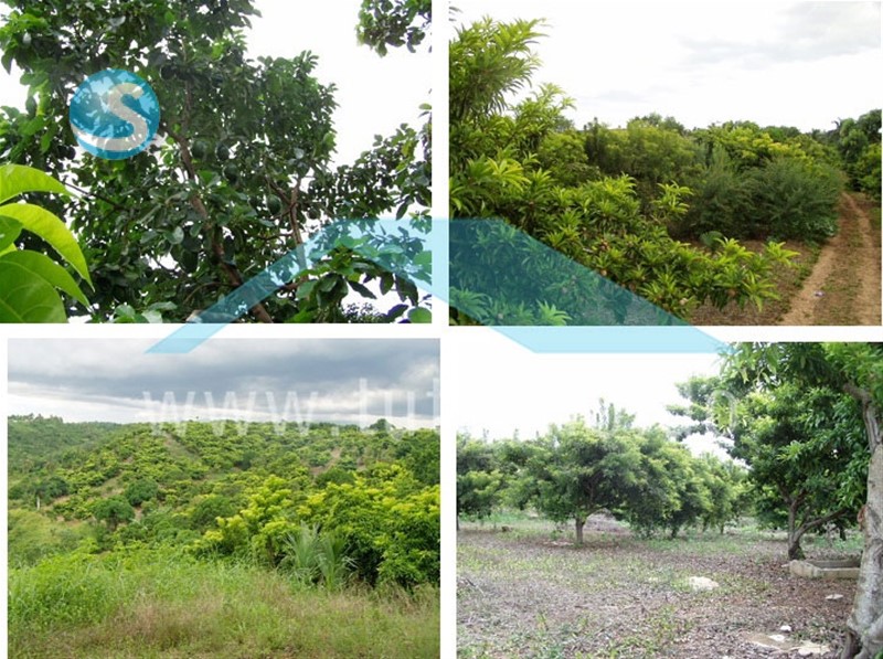 Finca productiva en San Cristóbal con sistema solar en República Dominicana
