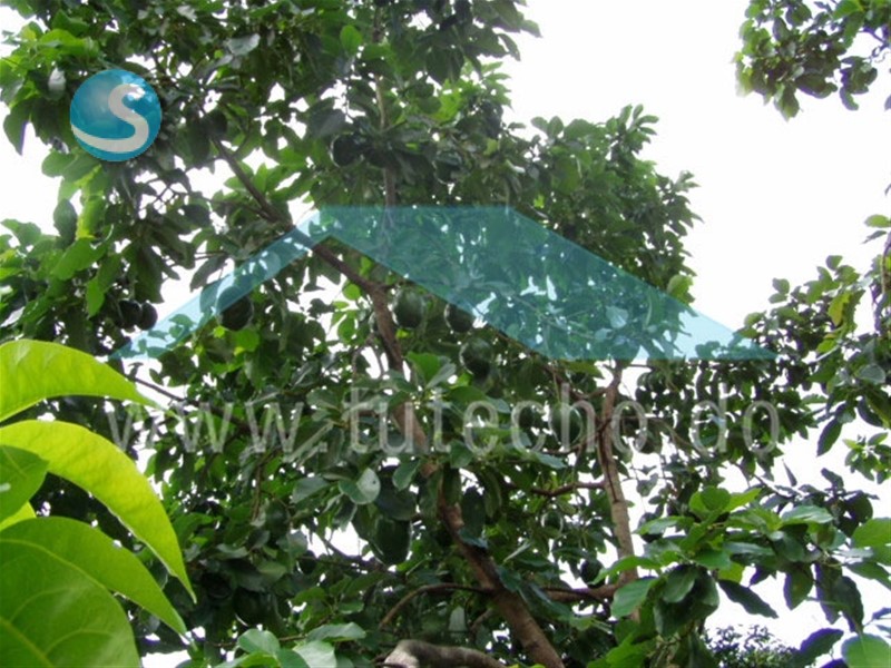 Finca productiva en San Cristóbal con sistema solar en República Dominicana