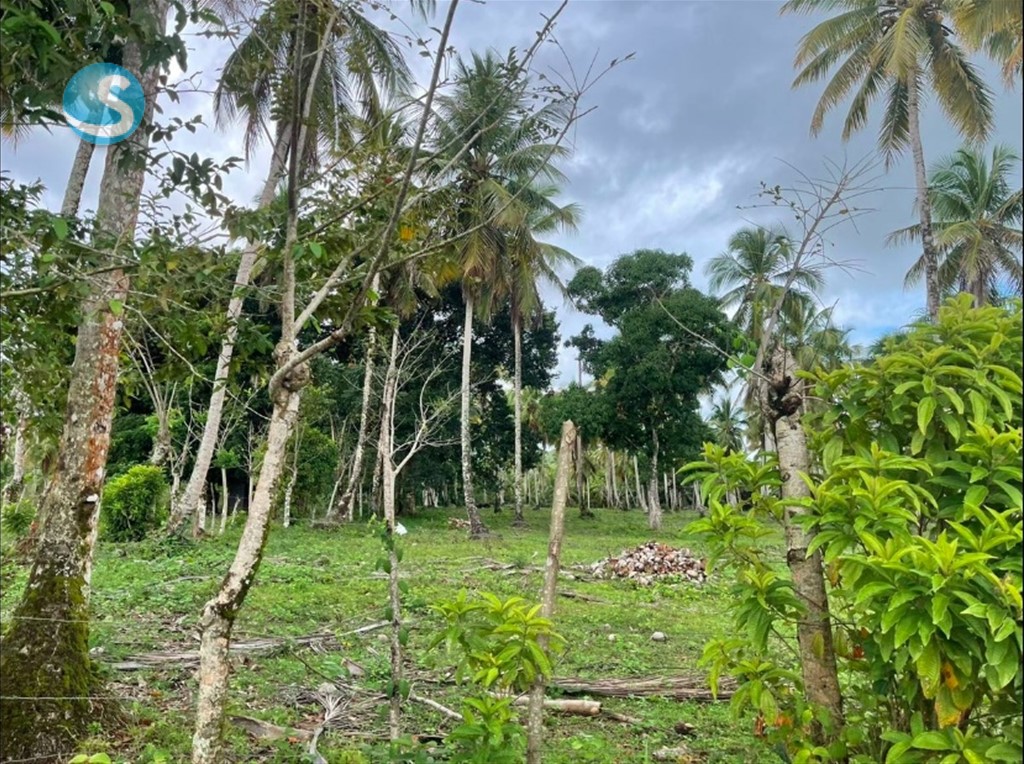 Solar en venta en Miches, ubicación privilegiada en República Dominicana