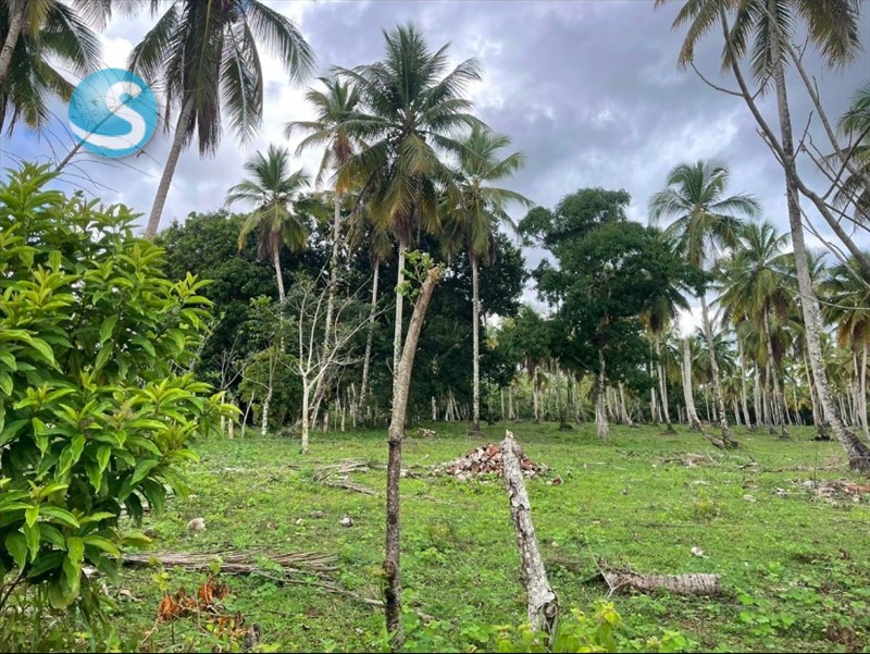 Solar en venta en Miches, ubicación privilegiada en República Dominicana