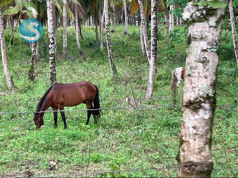 Solar en venta en Miches, ubicación privilegiada en República Dominicana
