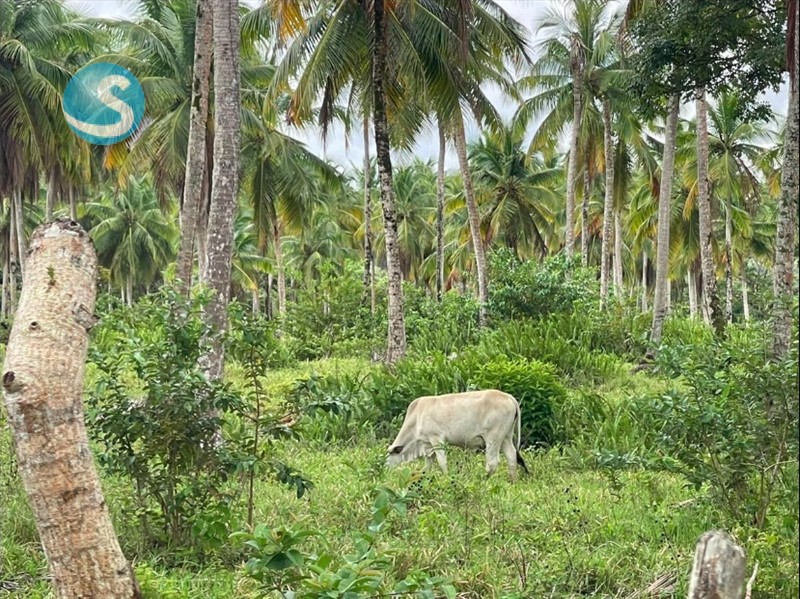 Solar en venta en Miches, ubicación privilegiada en República Dominicana