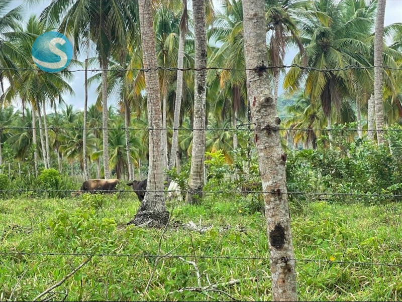 Solar en venta en Miches, ubicación privilegiada en República Dominicana