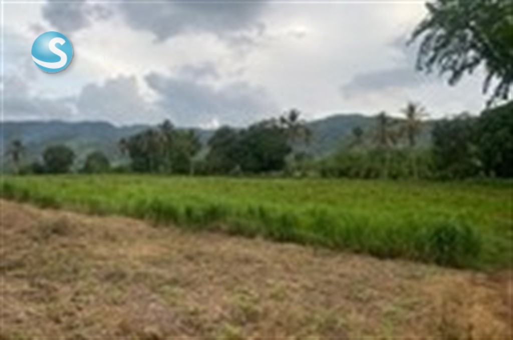 Finca en Venta con Potencial Multifuncional en Yamasá