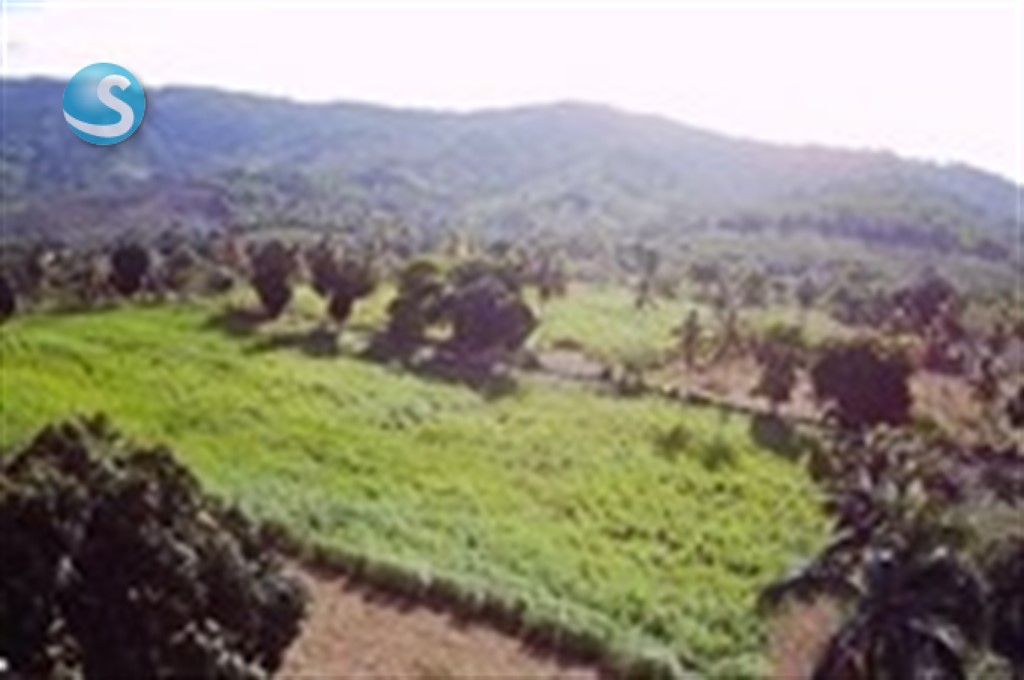 Finca en Venta con Potencial Multifuncional en Yamasá en República Dominicana