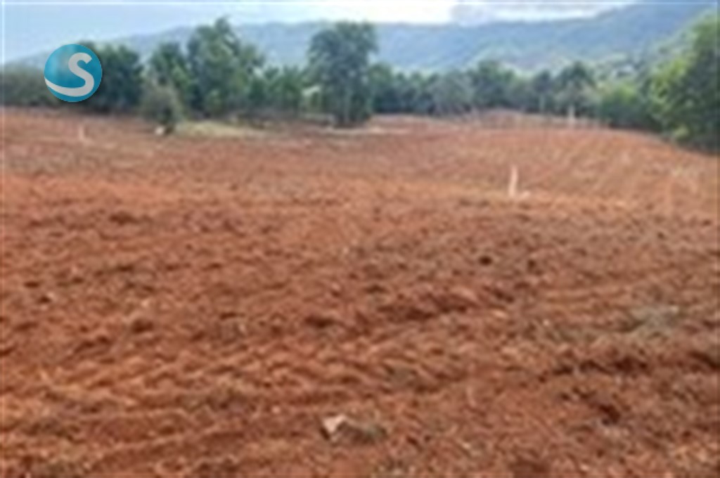 Finca en Venta con Potencial Multifuncional en Yamasá en República Dominicana