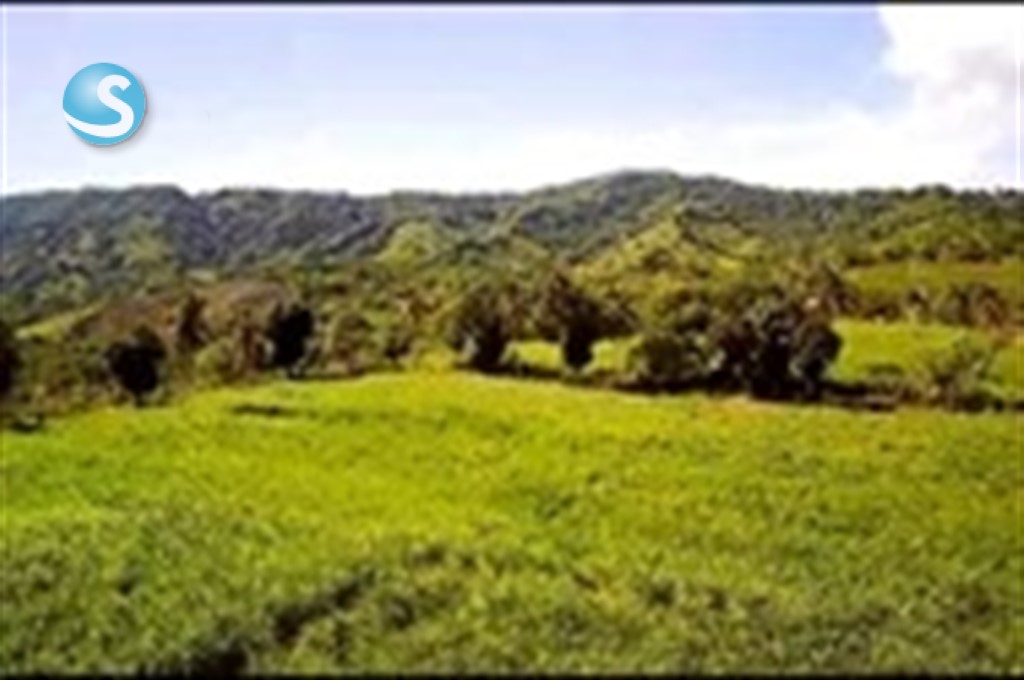 Finca en Venta con Potencial Multifuncional en Yamasá en República Dominicana