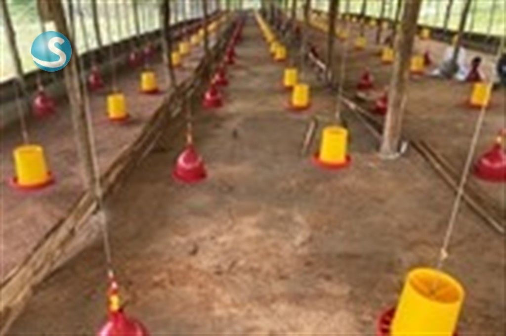 Finca en Venta con Potencial Multifuncional en Yamasá en República Dominicana