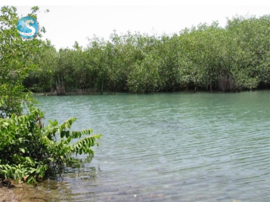 Solar en Venta en Nagua en República Dominicana