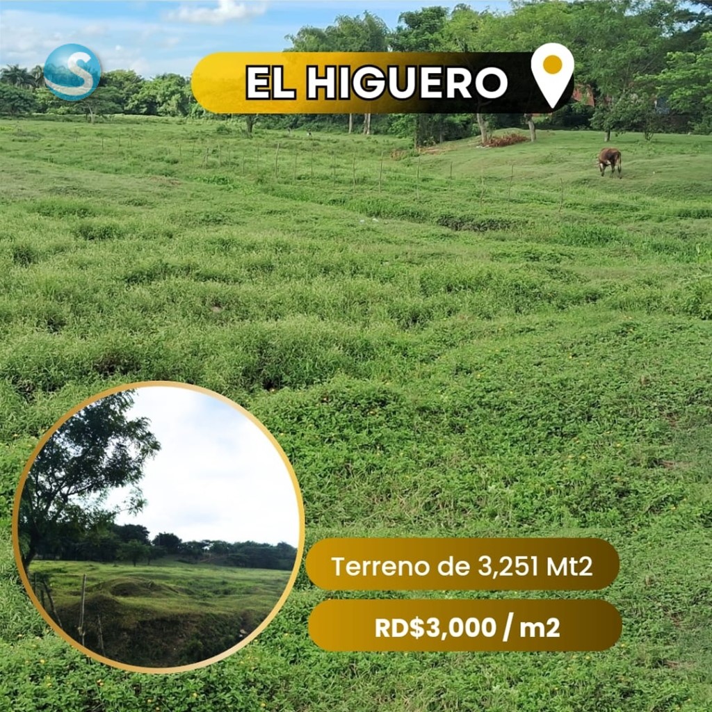 Solar en Venta en El Higuero