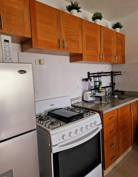 Apartamento amueblado en Punta Cana, oportunidad de inversión en República Dominicana