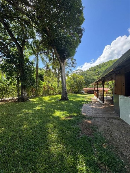 Casa ecológica en Las Terrenas cerca de Playa Cosón en República Dominicana