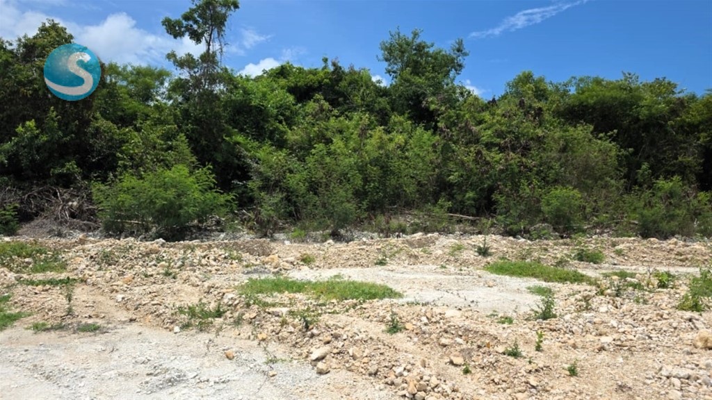Solar en Venta en Cap Cana, Oportunidad Inmobiliaria en República Dominicana