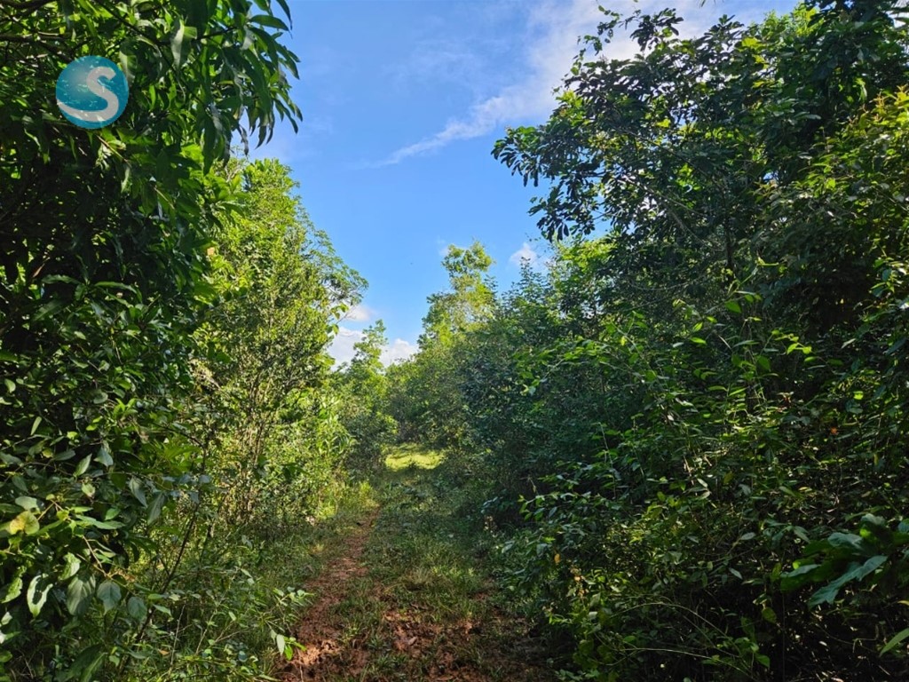 Finca en venta ubicada en Villa Mella en República Dominicana