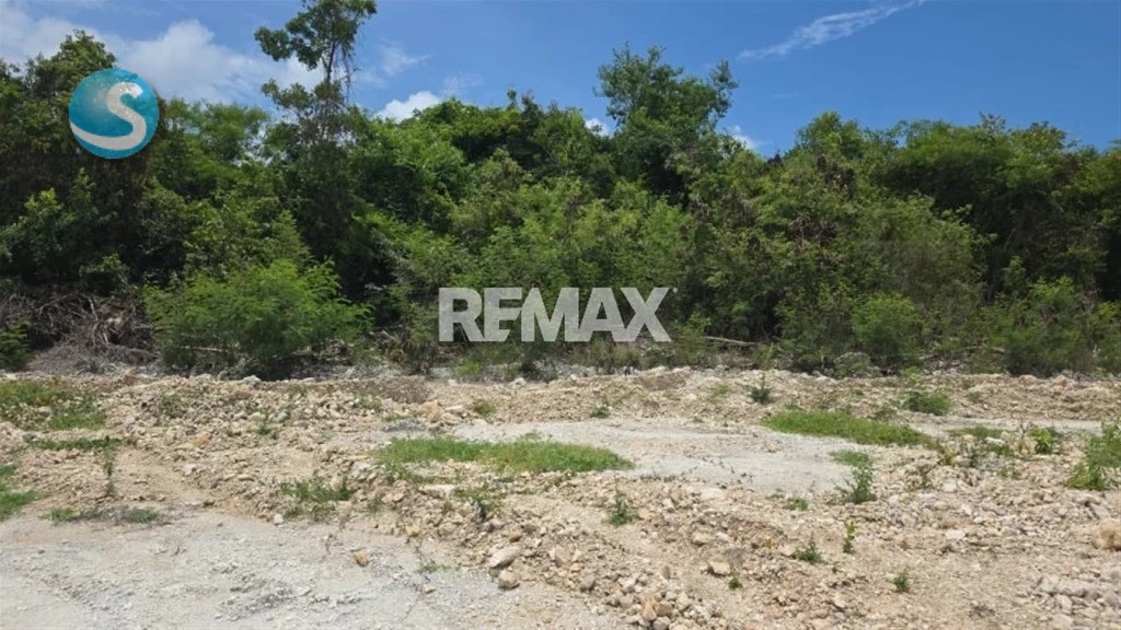 Terreno en Venta en Cap Cana, Ubicación Privilegiada en República Dominicana