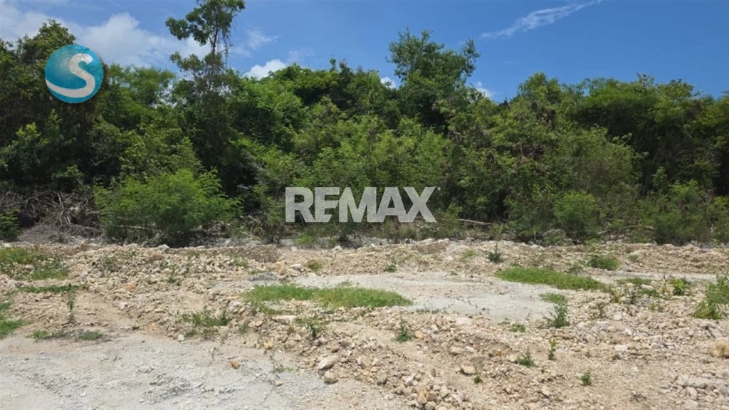 Terreno en Venta en Cap Cana, Ubicación Privilegiada en República Dominicana