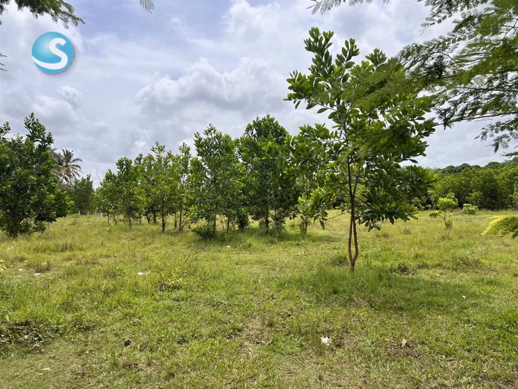 Solar en Venta ubicado en Pedro Brand en República Dominicana