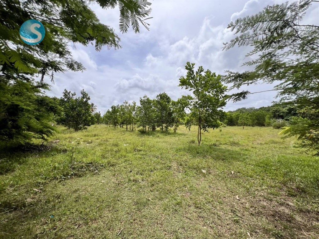 Solar en Venta ubicado en Pedro Brand en República Dominicana