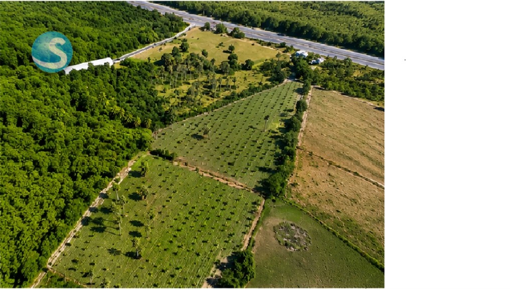 Solar en Venta junto a Autopista 6 de Noviembre