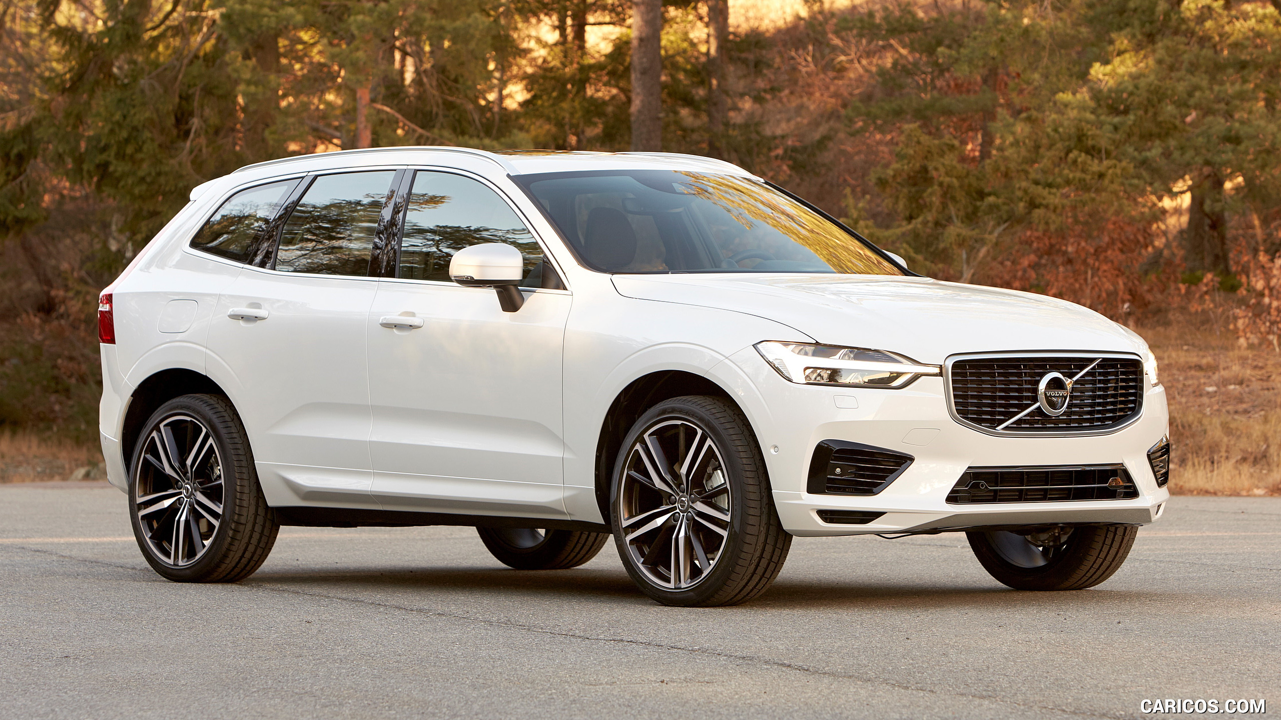 Volvo XC60 D5 2018 SUV Diésel
