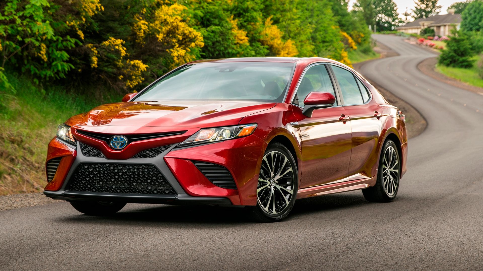 Toyota Camry SE 2019 Sedán