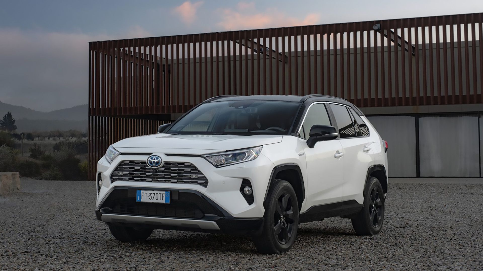Toyota RAV4 XLE 2019 SUV