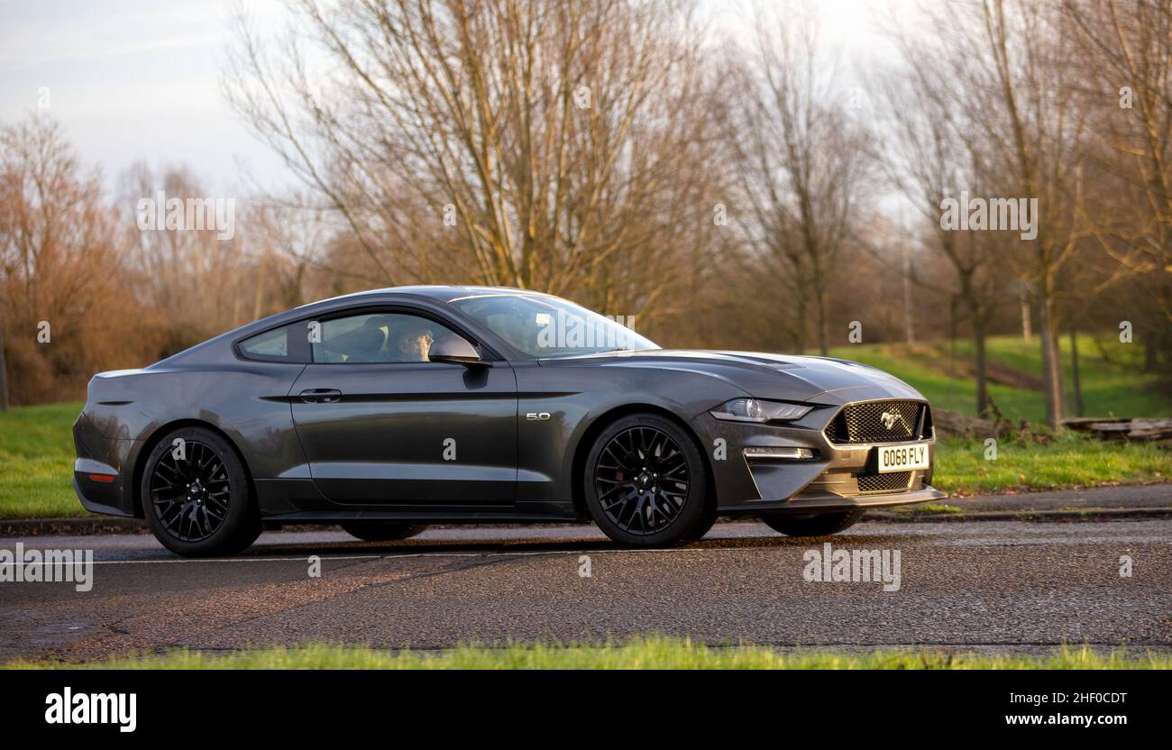 Ford Mustang GT 2019 Coupé V8 5.0