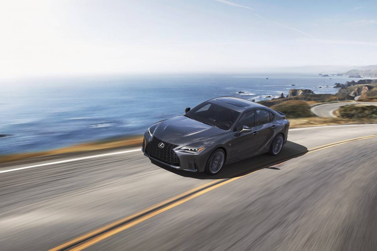 Lexus UX 250 Hybrid Sport 2023 SUV