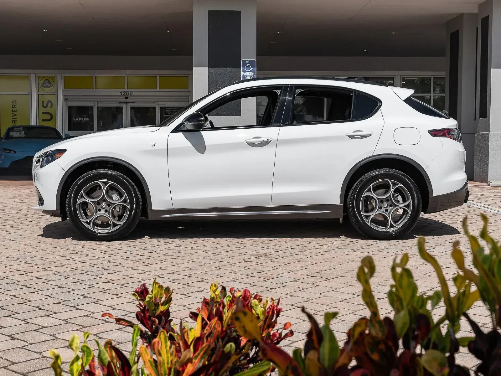 Alfa Romeo Stelvio Veloce 2024 SUV