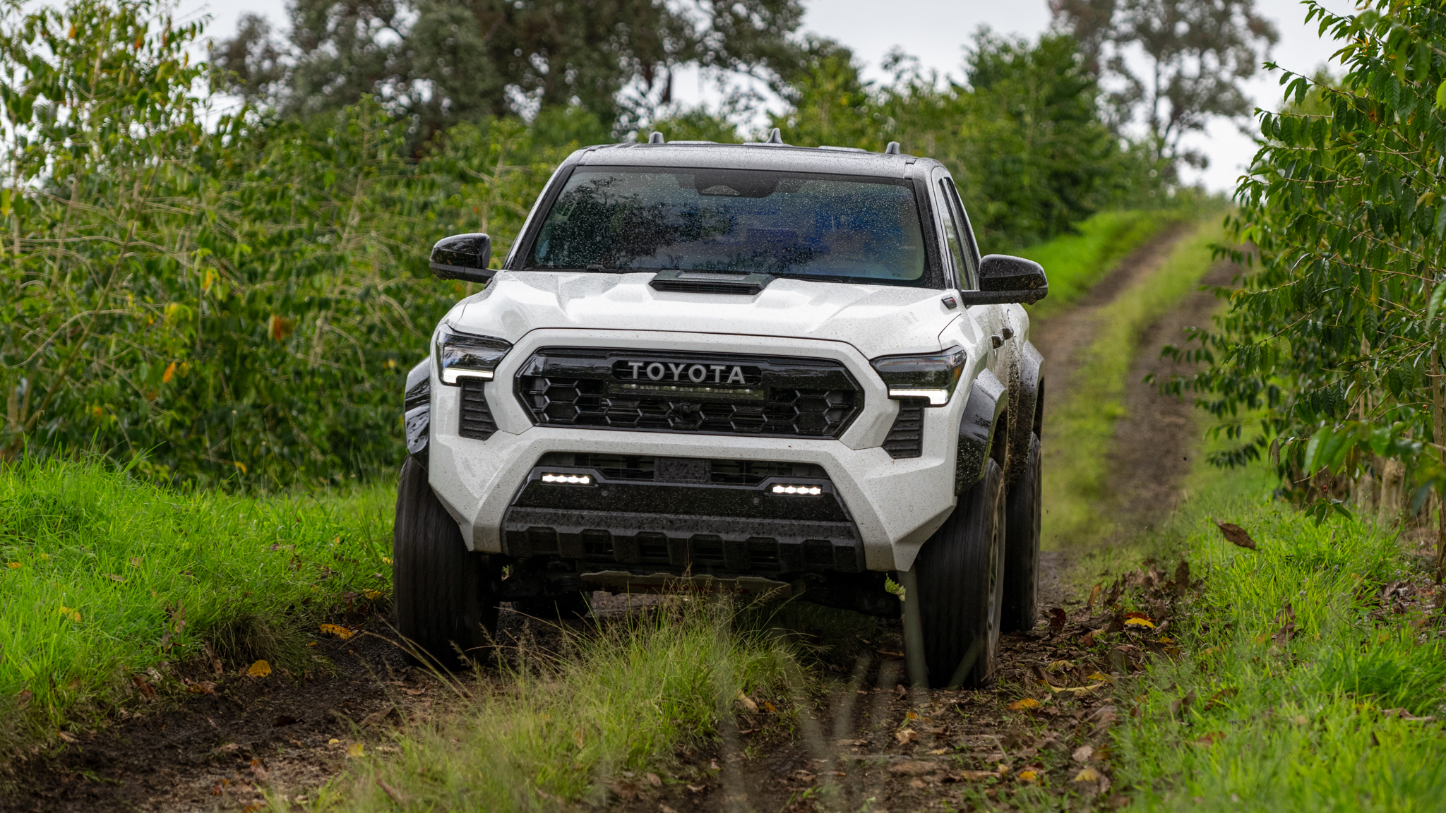 Toyota Tacoma SR5 2024 Camioneta Pick-up
