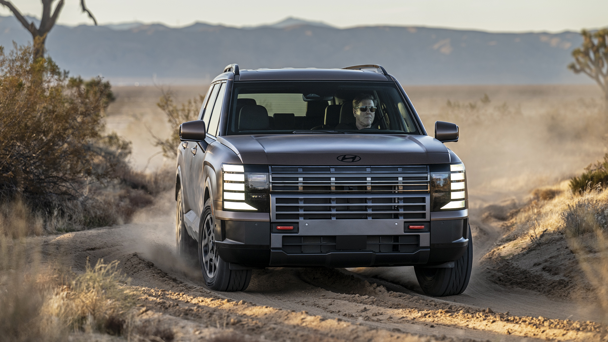 Hyundai Palisade Calligraphy 2026 SUV en República Dominicana