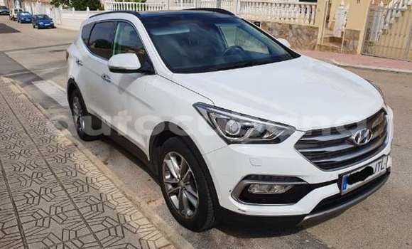 Hyundai Santa Fe Calligraphy 2026 SUV