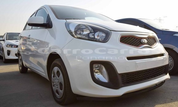 Kia Picanto modelo 2027 automóvil compacto
