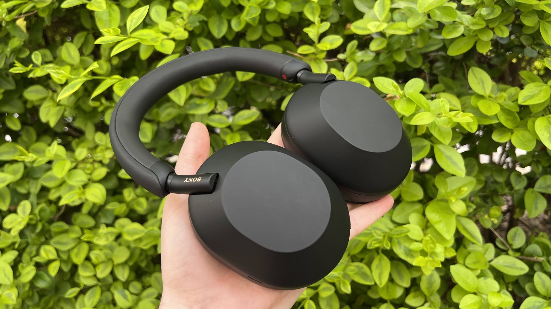 Sony WH1000XM5 Auriculares Cancelación Ruido en República Dominicana