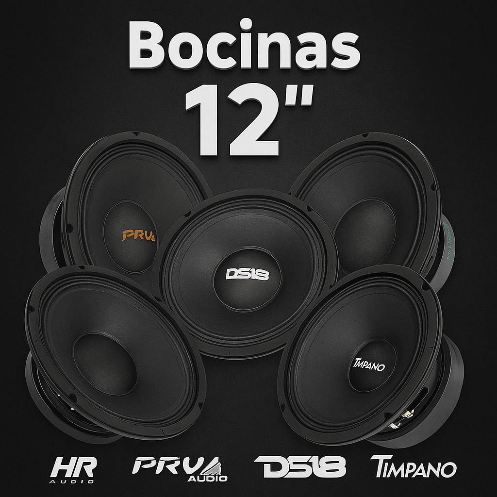 Bocinas Marca X Modelo Y 12" con Cajón en República Dominicana