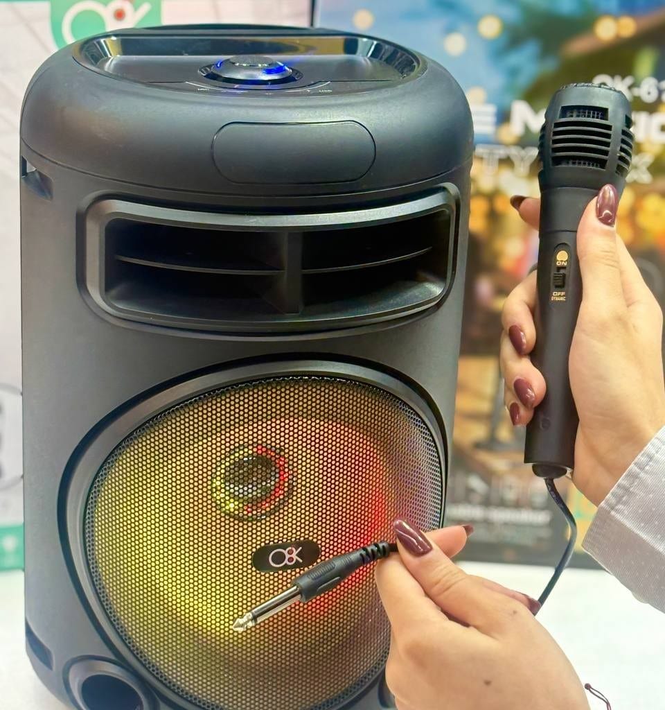 Bocina Bluetooth Love Music OK617 6.5"