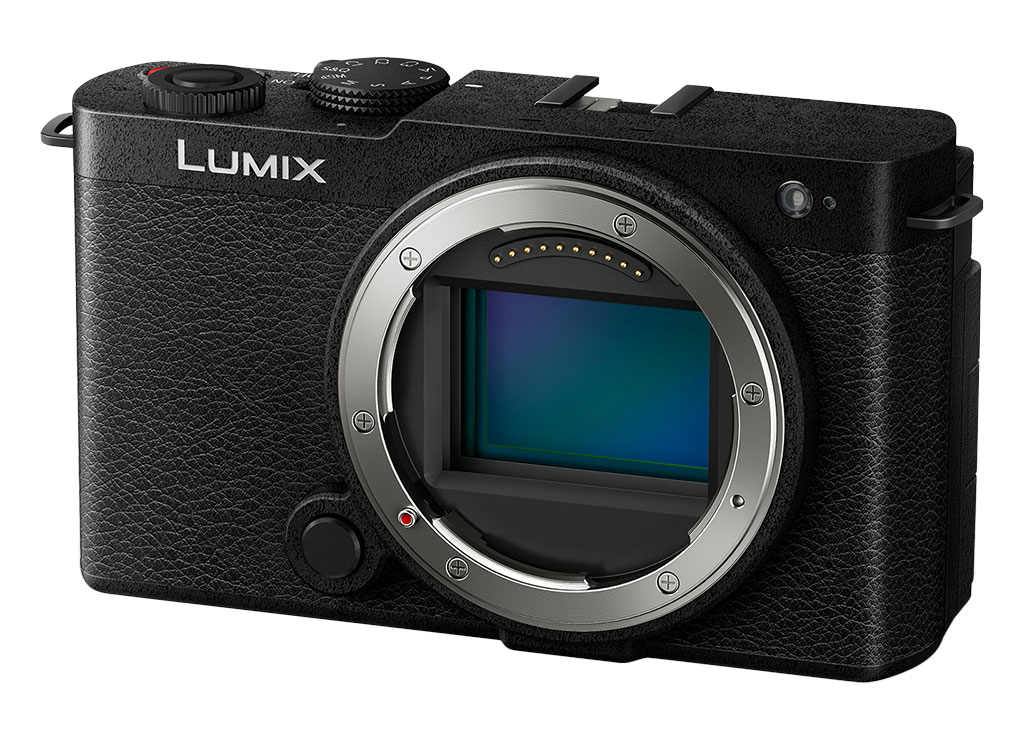 Panasonic Lumix DMC-FZ48 Cámara Digital en República Dominicana