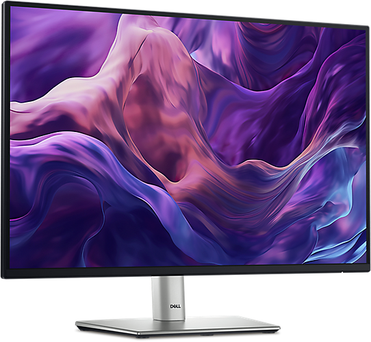 Monitor Dell con puertos VGA y DVI, 60Hz, incluye cables en República Dominicana