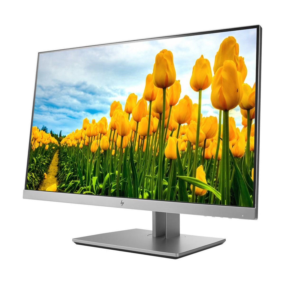 Monitor HP EliteDisplay E233 de 23 pulgadas