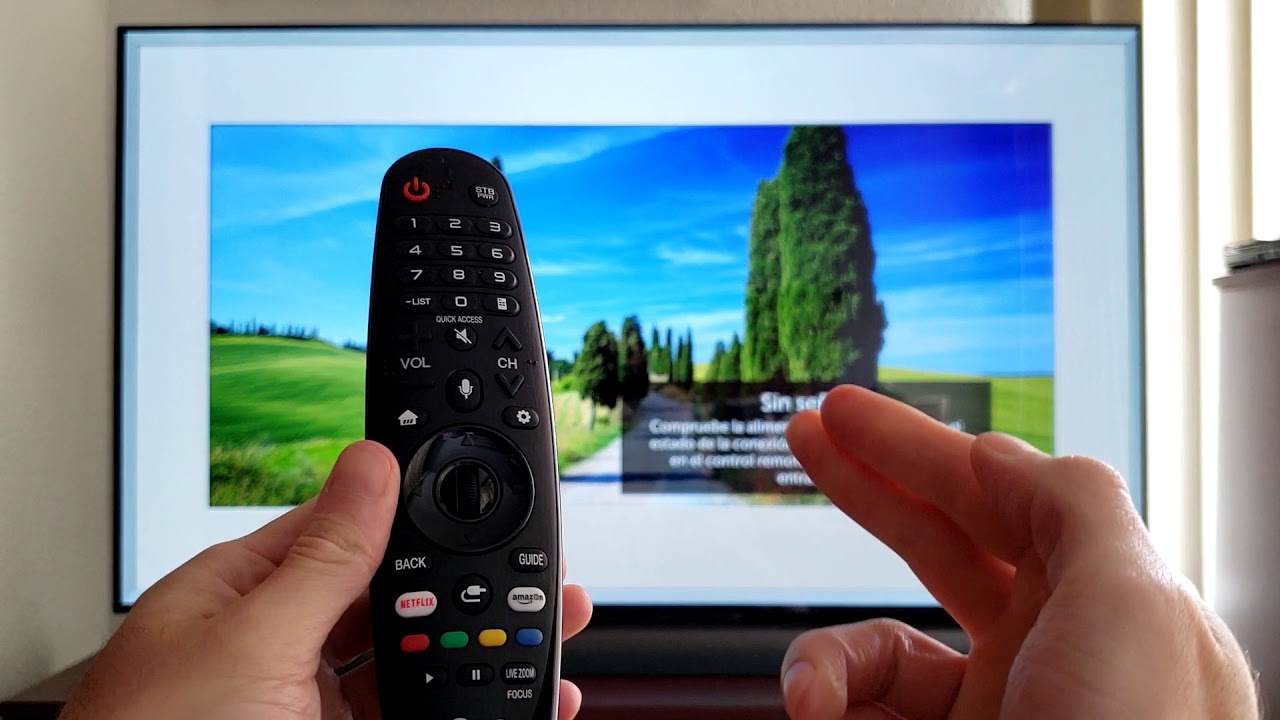 Televisor LG Modelo con Control Remoto